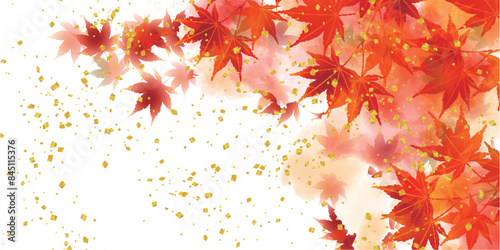紅葉　葉　秋　背景	