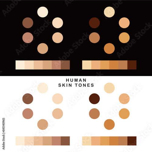 Collection Color palette, Skin tones. Flat vector illustration. skin color infographics. skin tone, vector icon