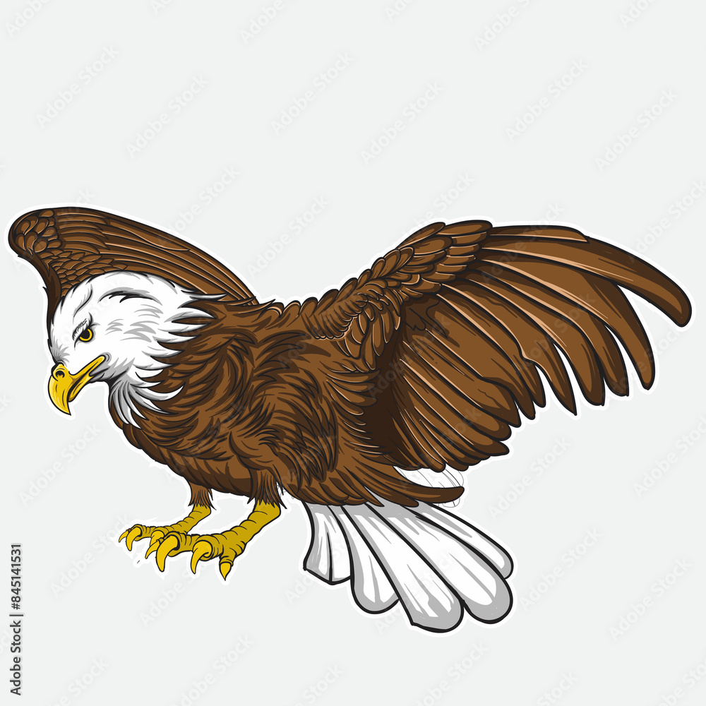 Obraz premium Falcon eagle vector picture