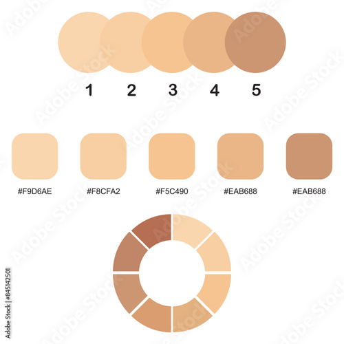 Collection Color palette, Skin tones. Flat vector illustration. skin color infographics. skin tone, vector icon
