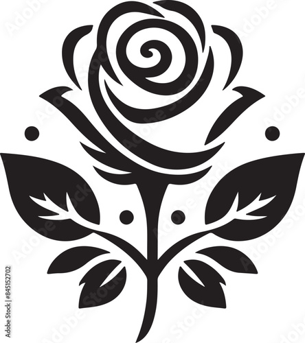 A beautiful rose flower
