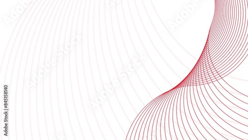 Ribbon line wave red color motion white background