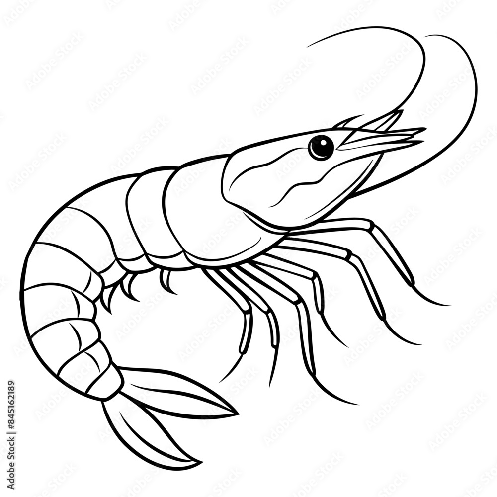 Shrimp lineart vector illustration design Shrimp lineart vector illustration design