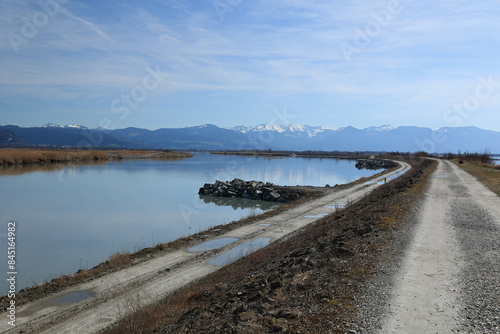 Wallpaper Mural Betrachten Sie die Naturlandschaft dort, wo der Rhein bei Hard in Österreich in den Bodensee fließt. Torontodigital.ca