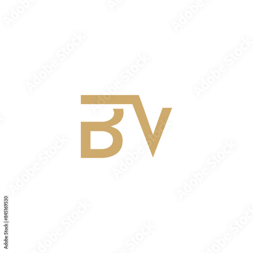 BV monogram, BV initial wedding, BV logo company, BV icon business, Alphabet letter icon logo BV gold
