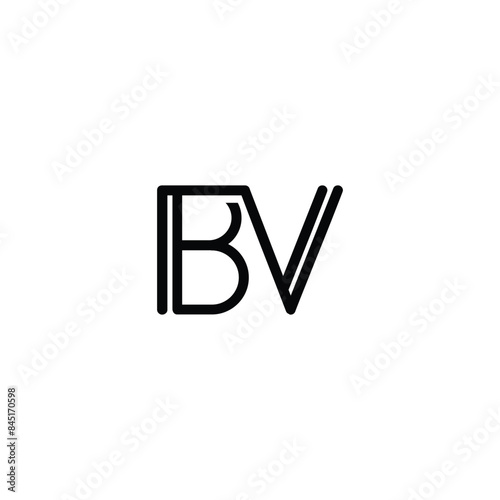 BV monogram, BV initial wedding, BV logo company, BV icon business, Alphabet letter icon logo BV
