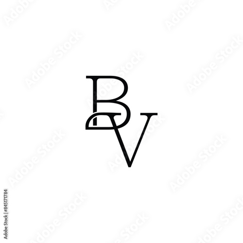 BV monogram, BV initial wedding, BV logo company, BV icon business, Alphabet letter icon logo BV
