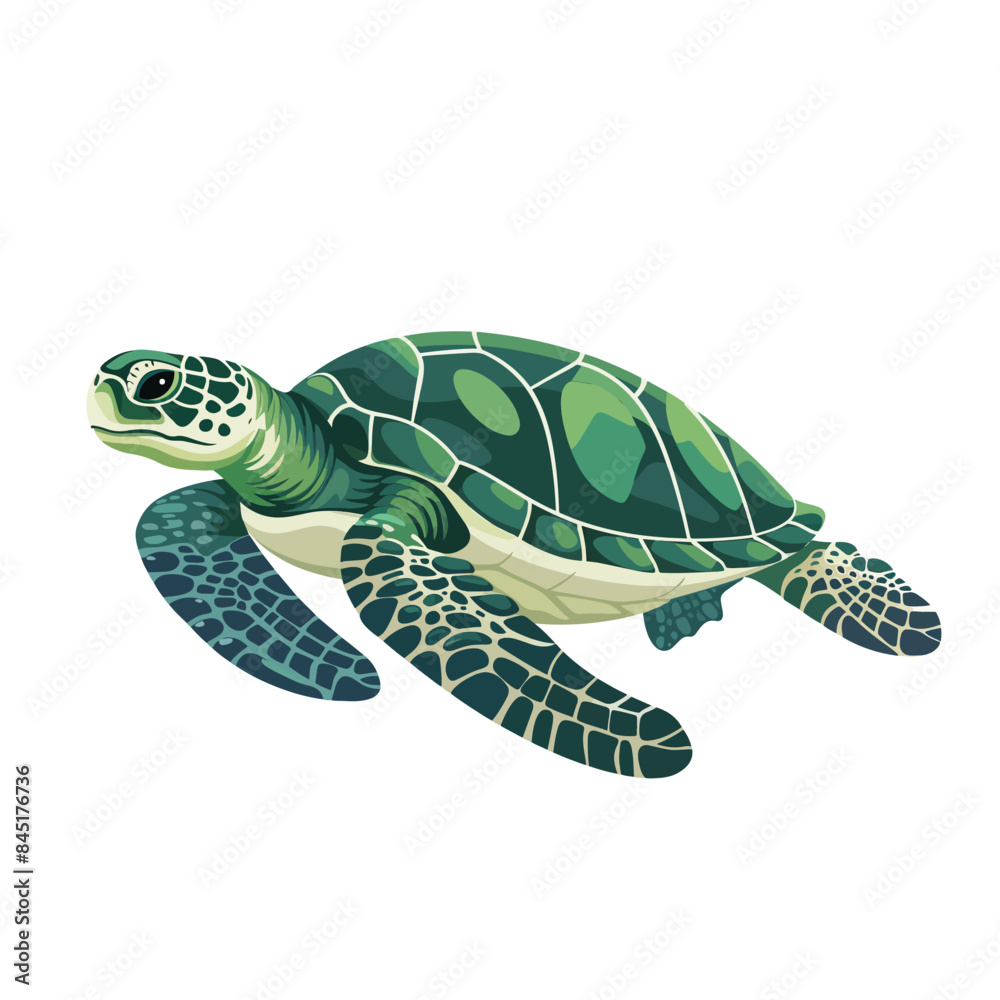 Fototapeta premium Turtle illustration isolated on white background