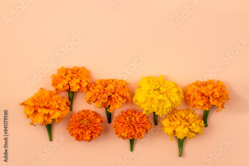 Mexican Marigold flowers background. Autumn composition. Background for the Day of the Dead. Flat lay, copy space