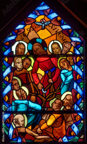 Konstfotografi Parables of Jesus: I Am the True Vine