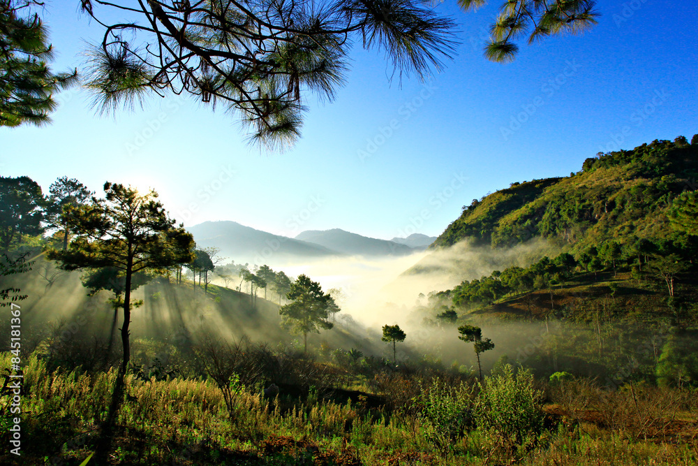 Obraz premium Nature and scenic views of the Doi Luang Chiang Dao Mountain in Chiang Dao Wildlife Reserve Chiang Mai Province, Thailand 