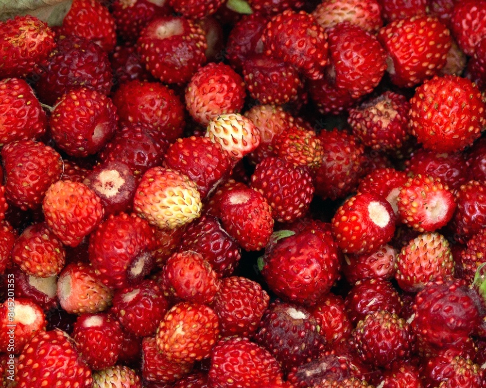 Background with ripe wild strawberry Background with ripe wild strawberry