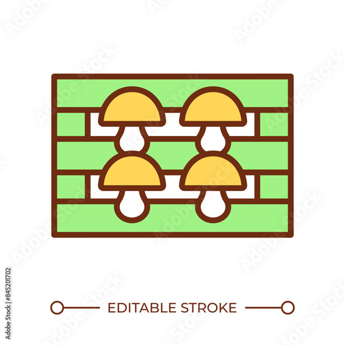 Indoor trays RGB color icon. Indoor mushroom cultivation. Farming techniques. Vertical farming. Fungiculture. Isolated vector illustration. Simple filled line drawing. Editable stroke