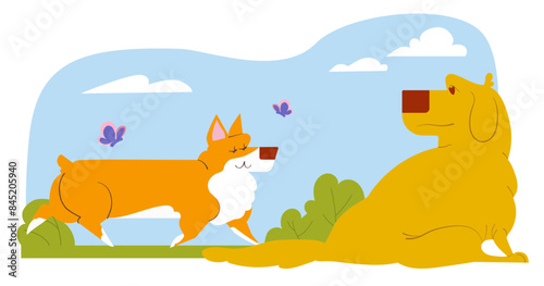 Dogs outdoors