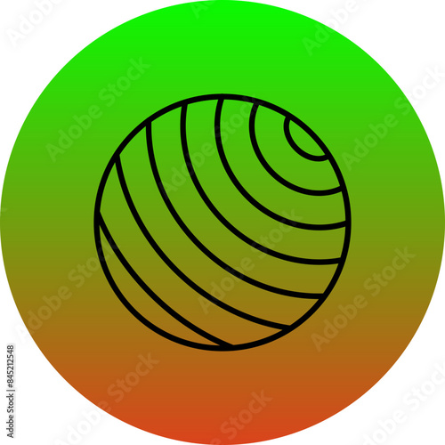 Gym Ball Icon