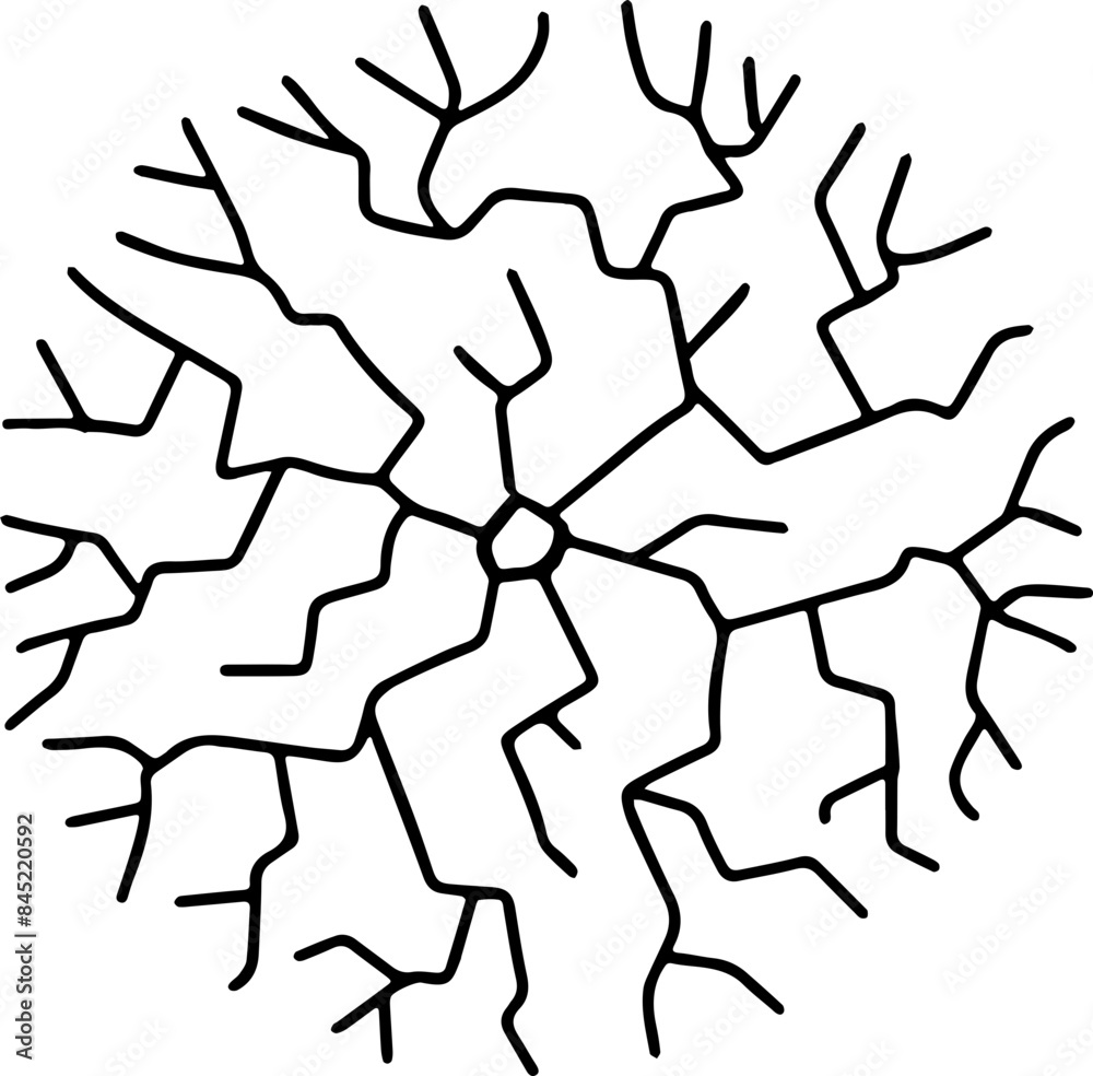 hand drawn top view of tree illustration. hand drawn top view of tree illustration.