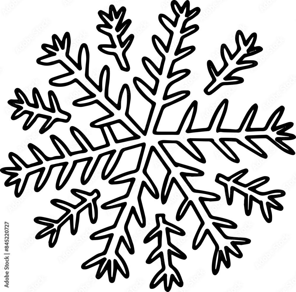 hand drawn top view of tree illustration.