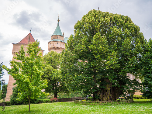 Bojnice Castle is  probably the most beautiful castle in Slovakia. Matúš Čák Trenčiansky planted this linden before entering the castle in 1301. photo