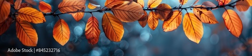 Moody Autumn Leaves with Dew Drops.