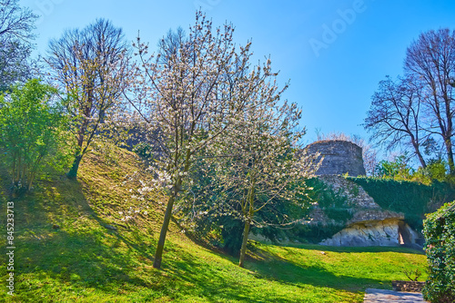 The old tower behind the blooming trees, San Vigilio Castle, Bergamo, Italy photo