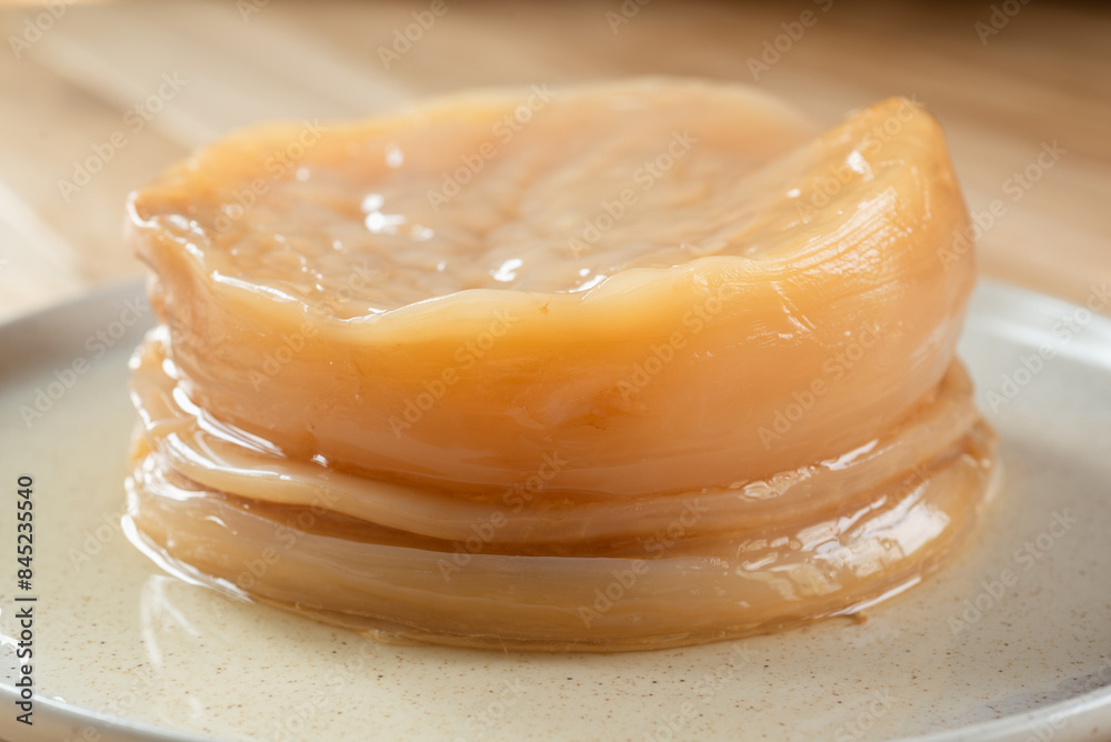 Kombucha SCOBY 