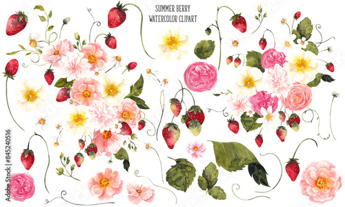 Wallpaper Mural Watercolor clipart with hand draw summer berry and garden flowers, isolated on transparent background Torontodigital.ca