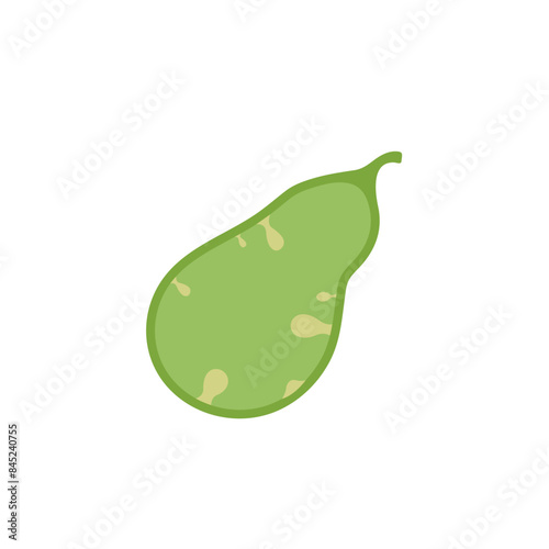 Gallbladder with detection polyp  disease. Check health of gallbladder. Unhealthy  problems in gall. Risk growth cancer cells. Vector flat illustration