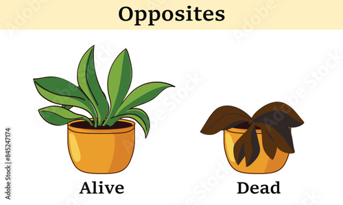 Vector learning material for kid's opposites alive and dead. Cartoon illustration showing alive and dead plant. Early learning opposite words cards for kids.