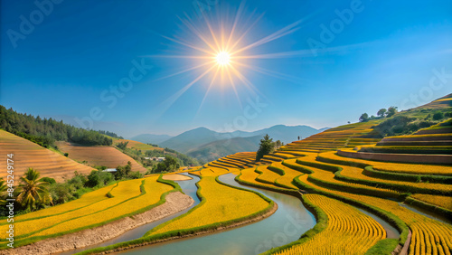 Lush Green Valley with Terraced Rice Paddies