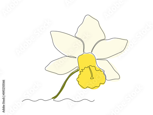 daffodil flower line art yellow white clip art preview