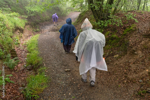 Way of St. James. Pilgrims in the forest with fog and rain on the way to Roncesvalles