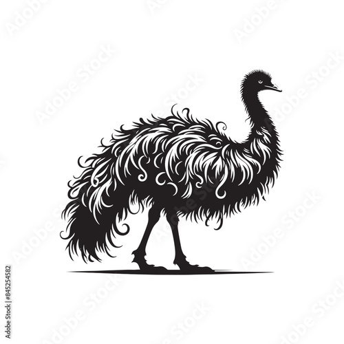 Emu Bird Silhouette: Vector Art Showcasing the Distinctive Profile of Australia's Iconic Bird- Emu Bird Vector- Emu Bird Illustration. photo