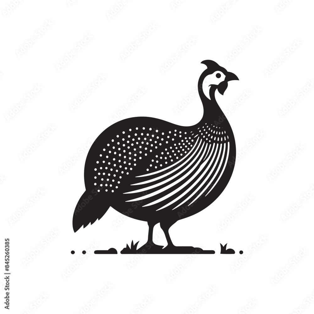Guinea fowl Silhouette: Enhance Your Artwork with Exotic Bird Graphics- Guinea fowl Vector - Guinea fowl Illustration. Guinea fowl Silhouette: Enhance Your Artwork with Exotic Bird Graphics- Guinea fowl Vector - Guinea fowl Illustration.