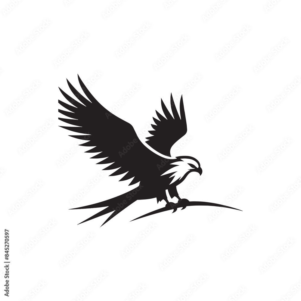 Fototapeta premium Kite Bird Silhouette: Vector Graphics Depicting the Elegance and Freedom of Flight - Kite Bird Vector - Kite Bird Illustration - Bird Silhouette.