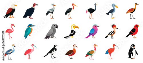Collection of african birds icons, vector cartoon illustration. Features flamingo, grey parrot, kingfisher, penguin, ibis, ostrich, secretary bird.