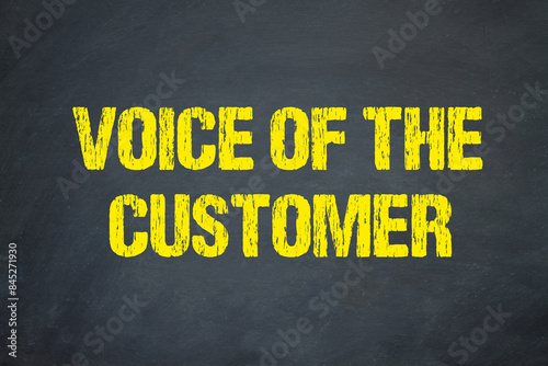 voice of the customer 