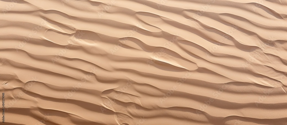 Sea sand with a textured surface marked by bird tracks creates a natural background The waves of sand resembling dunes can be seen from above providing a copy space image Sea sand with a textured surface marked by bird tracks creates a natural background The waves of sand resembling dunes can be seen from above providing a copy space image