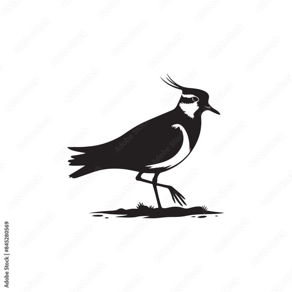 Fototapeta premium Bold Lapwing Bird Silhouette: Vector Graphics Adding a Touch of Natural Splendor to Your Designs- Lapwing Bird Illustration - Lapwing Bird Vector.