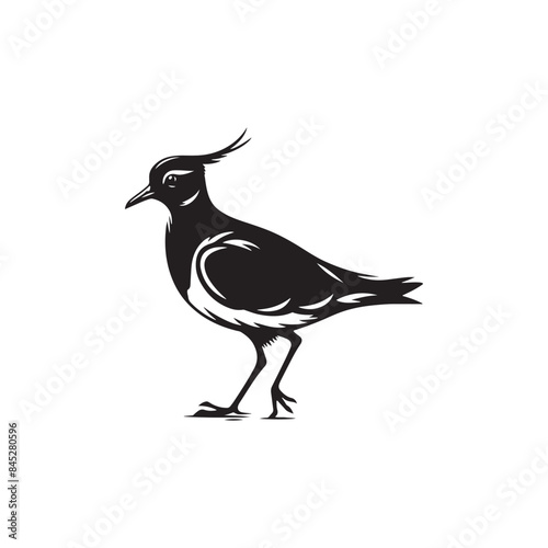 Bold Lapwing Bird Silhouette: Vector Graphics Adding a Touch of Natural Splendor to Your Designs- Lapwing Bird Illustration - Lapwing Bird Vector.