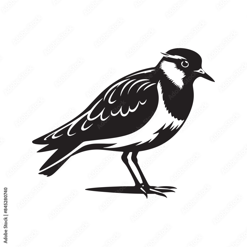 Fototapeta premium Bold Lapwing Bird Silhouette: Vector Graphics Adding a Touch of Natural Splendor to Your Designs- Lapwing Bird Illustration - Lapwing Bird Vector.