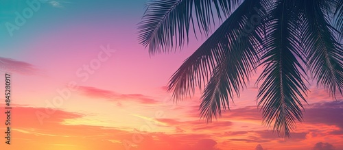 A tropical palm tree silhouette is framed against a vibrant sunset sky creating an abstract background The image conveys a sense of summer vacation and nature travel adventure enhanced by a pastel to