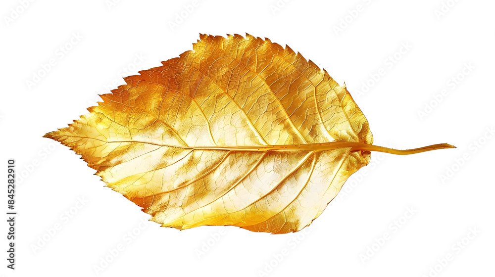 golden leaf isolated in transparent background golden leaf isolated in transparent background