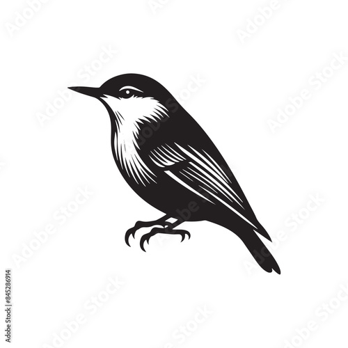 Nuthatch Bird Silhouette: Vector Illustrations Ideal for Wildlife Art and Decorative Projects- Nuthatch Bird Vector - Nuthatch Bird Illustration. 
