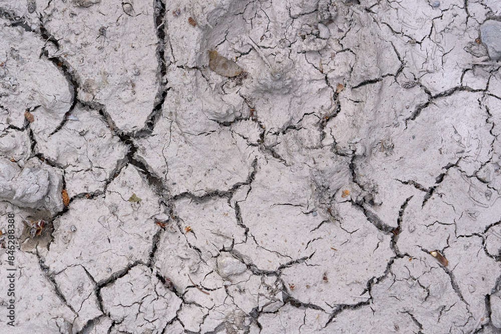 Fototapeta premium Dried cracked earth close up.