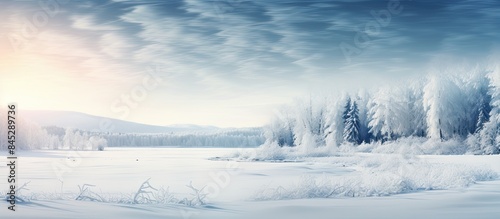 A picturesque winter nature scene bathed in the warm glow of bright daylight complete with a serene and tranquil atmosphere that offers plenty of copy space image
