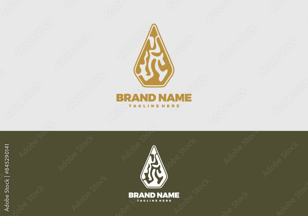 Fototapeta premium Elegant abstract logo suitable for your business brand