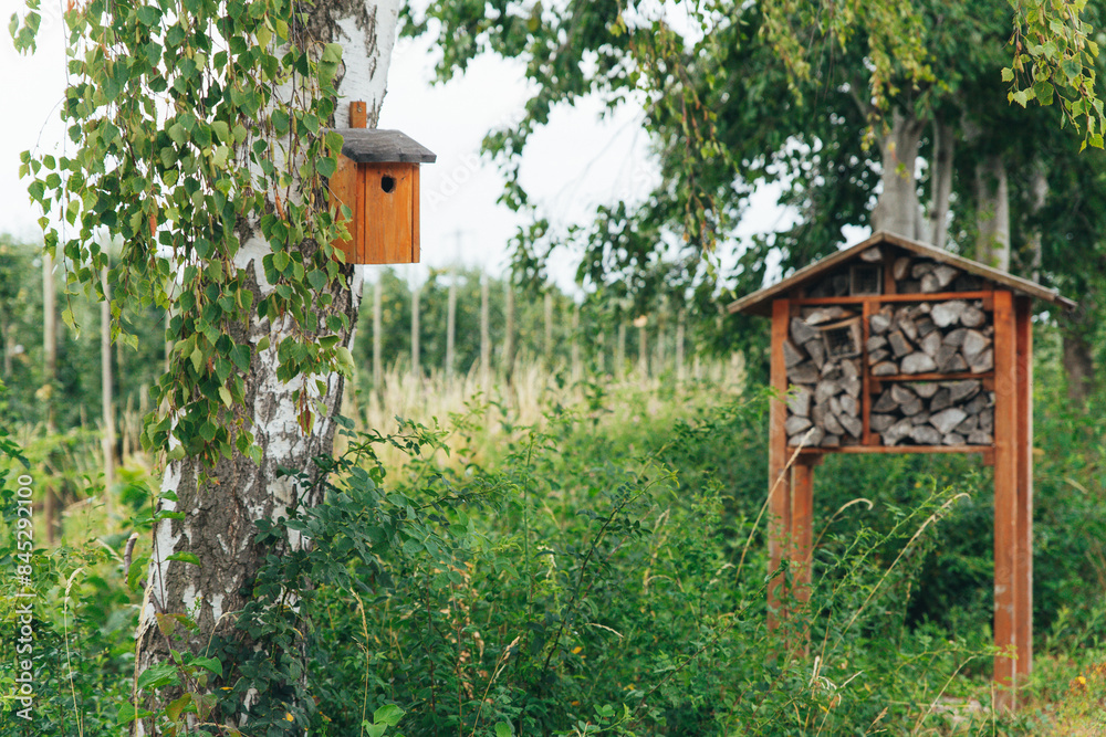 Birdhouse on a birch tree against the backdrop of an orchard Birdhouse on a birch tree against the backdrop of an orchard