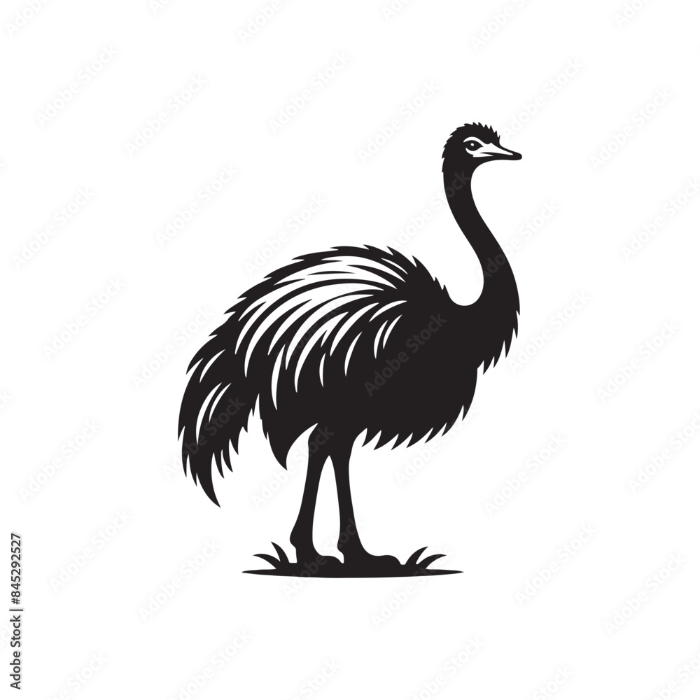Ostrich Silhouette: Vector Graphics Depicting the Speed and Power of These Flightless Birds- Ostrich Vector - Ostrich Illustration. Ostrich Silhouette: Vector Graphics Depicting the Speed and Power of These Flightless Birds- Ostrich Vector - Ostrich Illustration.