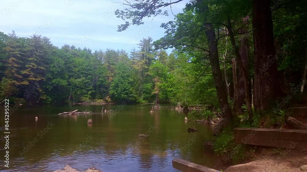 View from covered bridge Windham, Maine