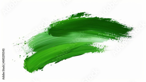 A green brush stroke on a white background